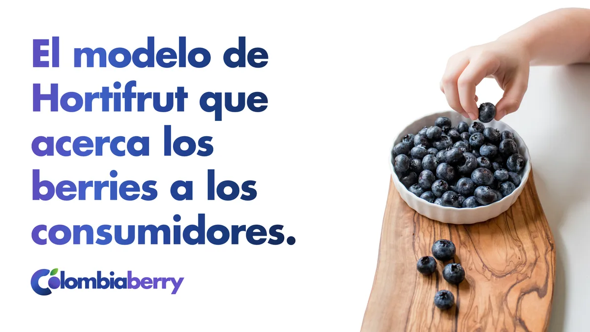 El modelo de Hortifrut que acerca los berries de calidad a los consumidores en Colombia
